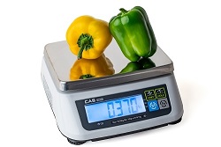 Waga kontrolna CAS SW II